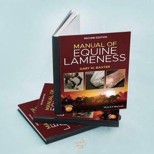 manual of equine lameness