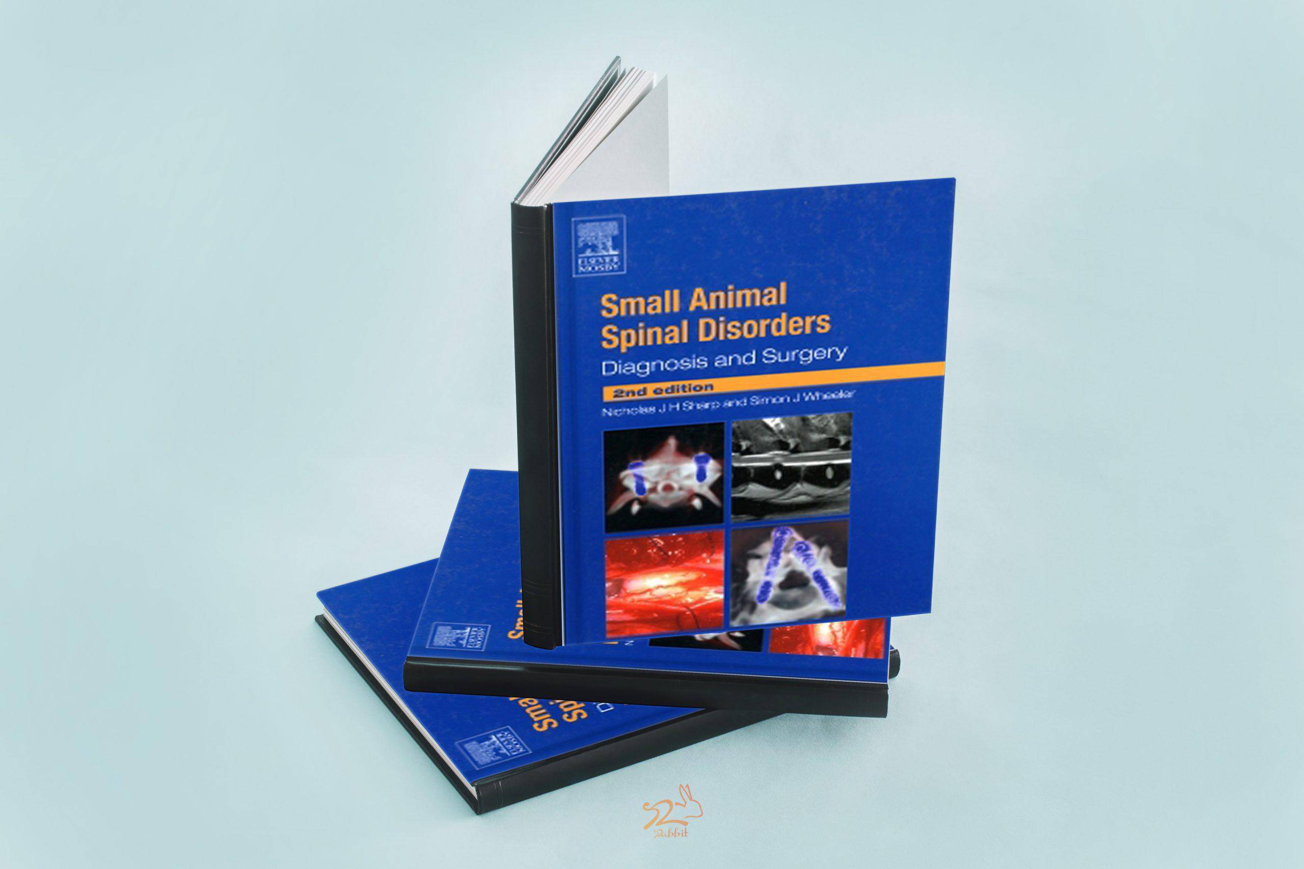 small animal spinal disorders diagnosis and surgery