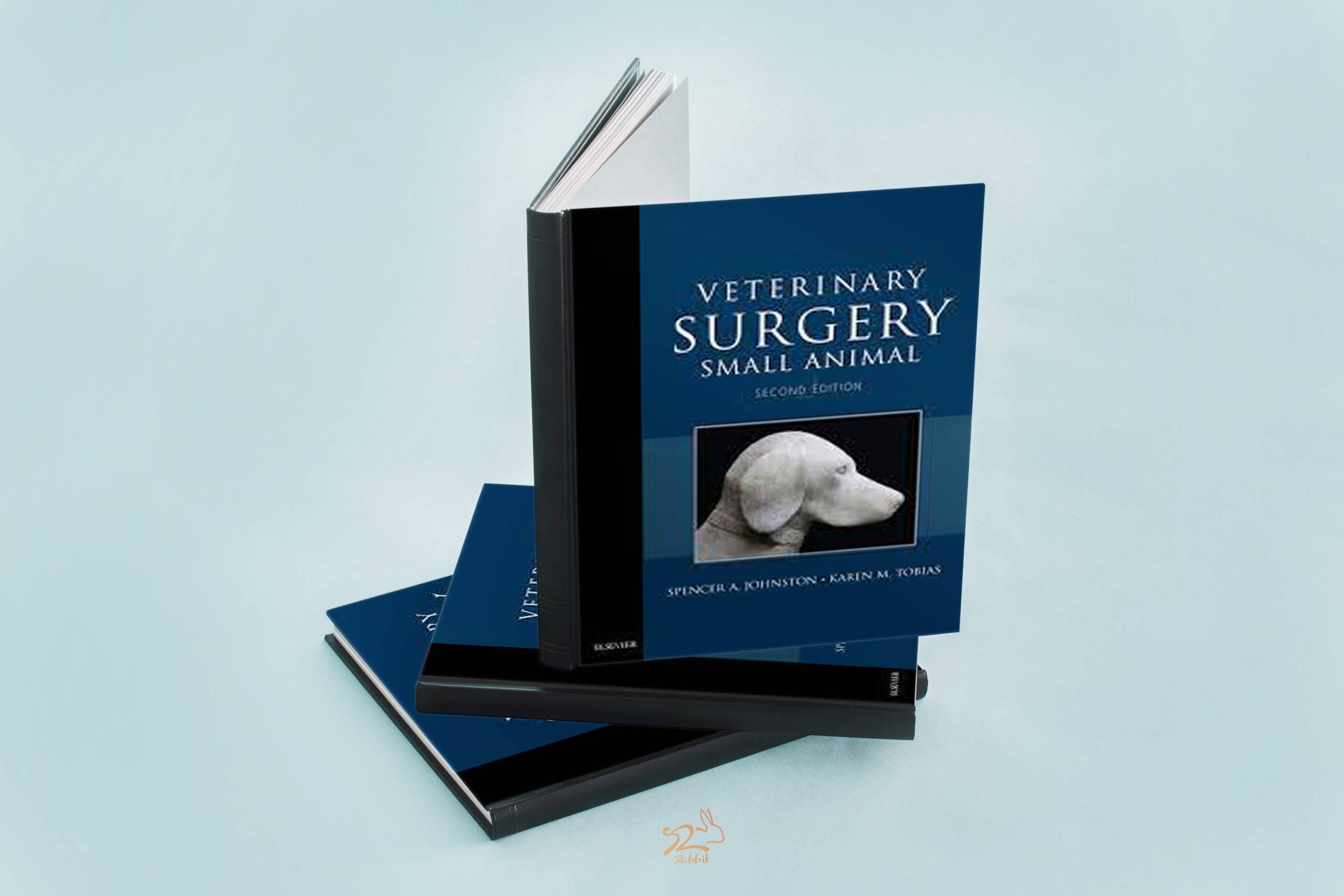Veterinary Surgery: Small Animal 2nd Edition