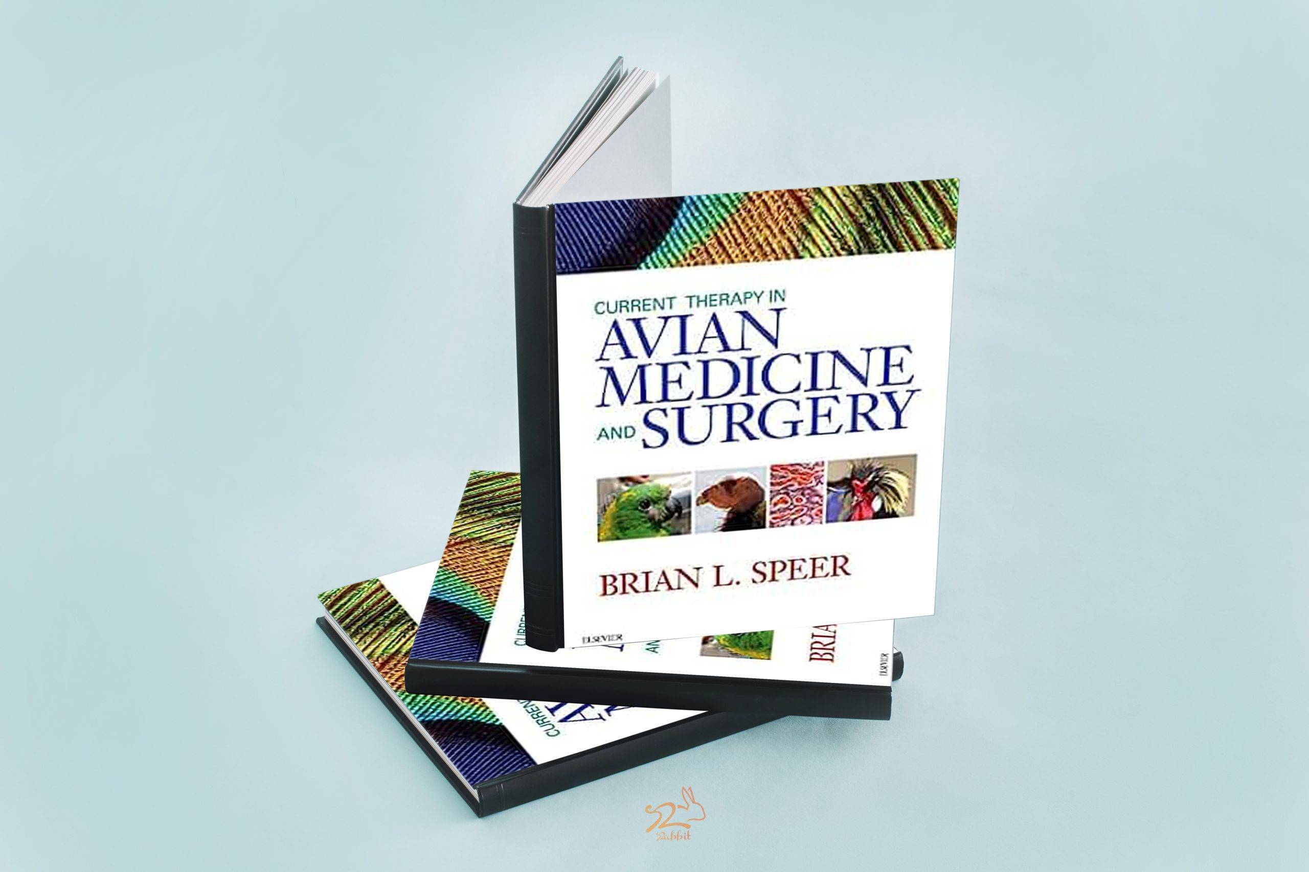 Current Therapy in Avian Medicine and Surgery 1st Edition
